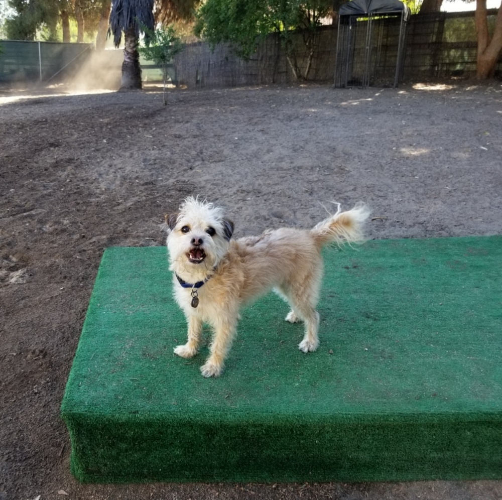 5 STAR! FAST SHIPPER!